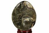 Septarian Dragon Egg Geode - Black Crystals #123025-1